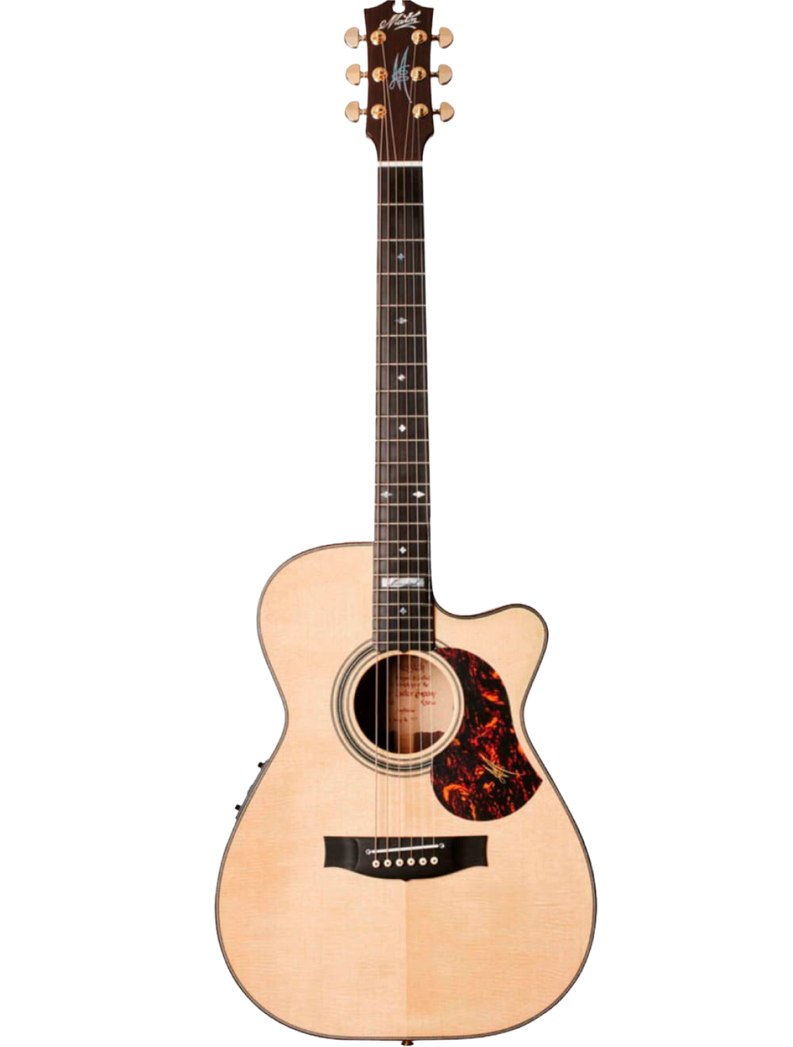 Guitar player demonstrating techniques